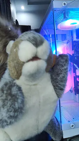 katanya saput kalah? #geol #saput 