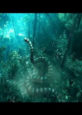 #tiktokGermany🇩🇪🇩🇪🇩🇪🇩🇪🇩🇪#Fyp#movie#film#Filmerklärung