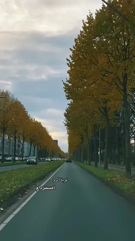 #تصويري #fyp #foryou 