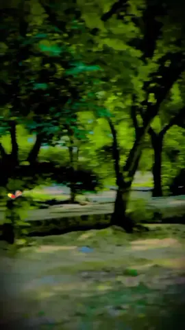 chega chinora zernka 🤦😍.       #پشتون_تاجیک_هزاره_ازبک_زنده_باد🇦🇫 #ګران #افغانستان #😂🤦 #پشتون_تاجیک_هزاره_ازبک_زنده_باد🇦🇫 