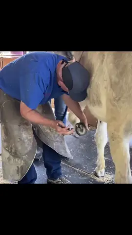 #DonkeyLove #SponsorADonkey #DonkeySanctuary #DonkeyRescue #AnimalRescue     