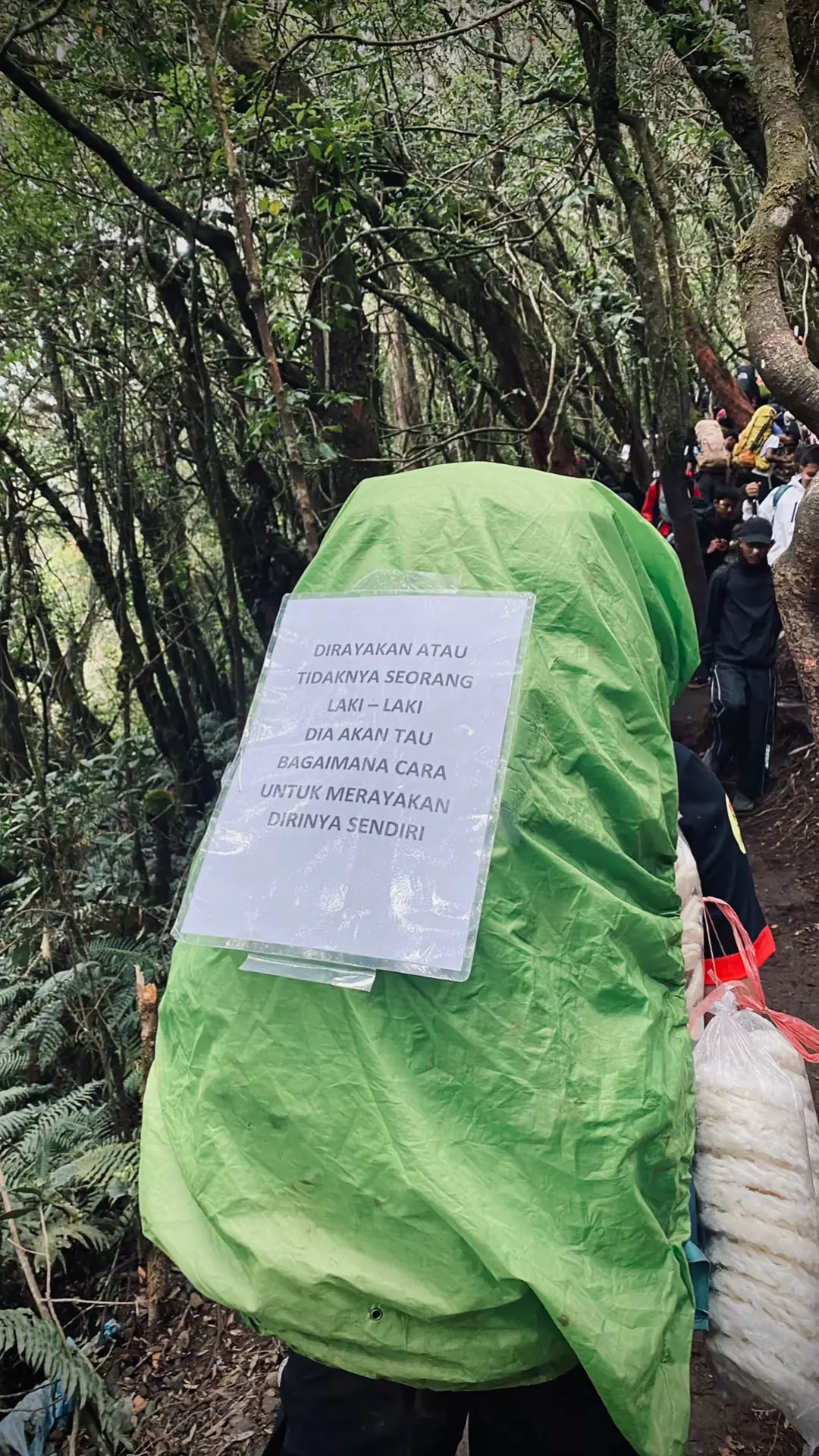 #gunungindonesia #Hiking #pendakigunung #xyzbca #4u 