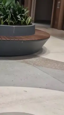 بیٹیاں ہوں یا بیٹے،  بَس اُن کی تربیت ایسی کریں کہ *وہ کسی کے گھر میں اندھیرا نہ کریں*