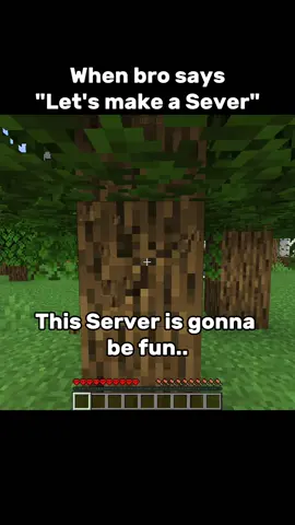 #minecraftedit #minecraftclips #maincraft #minecraftideas #minecraftmovie 