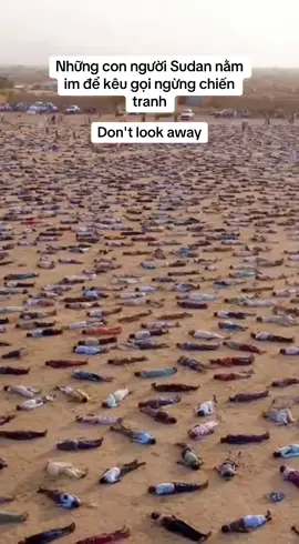 Chuyện gì đang xảy ra ở sudan, thông điệp hoà bình và nhân đạo mong thế giới đều bình yên. Video do AI tạo . #AnimeQuest2025 #teammonca0291 