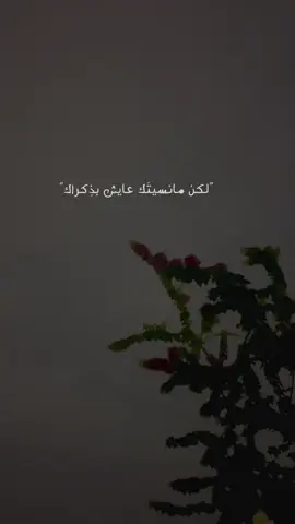 #باسم_الكربلائي  #لايك_متابعه_اكسبلور 