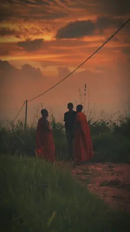 හැමවෙලාවෙම සතුටින් ඉන්න බලන්න...🕊🤍 #fyp #foryou #trending #fyppppppppppppppppppppppp #foryoupage @KEViN 