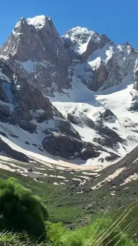 #colemerg  #colemerg #🌺❤️ 