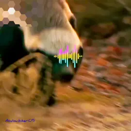 عسيلة #foryou #fyp #viral #اكسبلور #shorts 