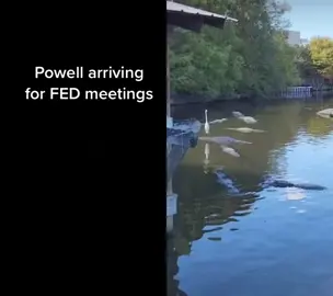 #onthisday  #stockmarket #daytrading #futurestrader