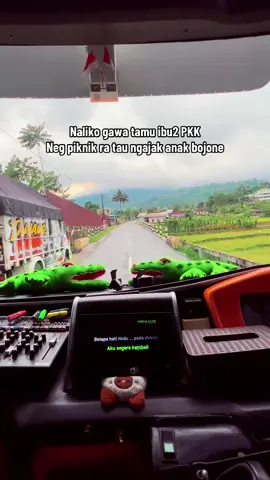 Kelakuan Ibuk e sopo i 😜#soundviral #soundlucu #driverbus #buspariwisata 