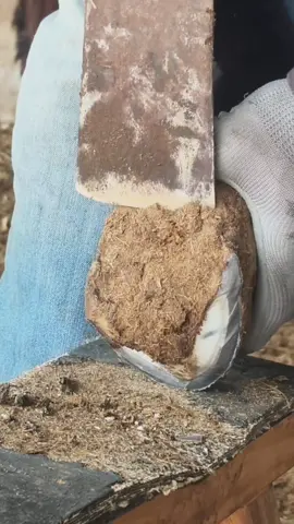 #hoofcare #foryou #foryoupage #viralvideo 