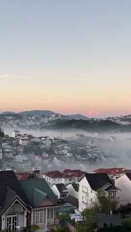 tuổi trẻ và Đà Lạt của bạn #dalat #dalatchill 