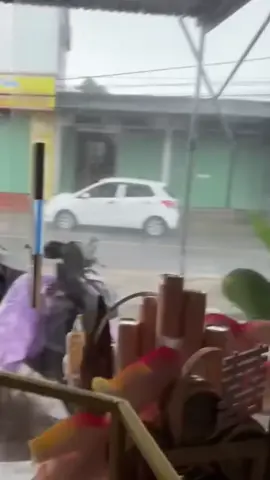 Thoáng nhẹ cơn gió chiều nay mà thấy chiếc oto như tờ giấy vậy .😱 #thiennhien#lôsoay#baoso13