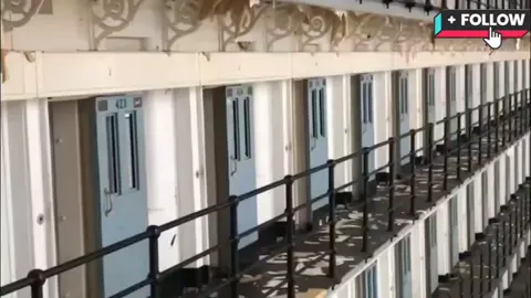 El Caníbal De La Cárcel De California  #historia #datos #archivos #police #document 