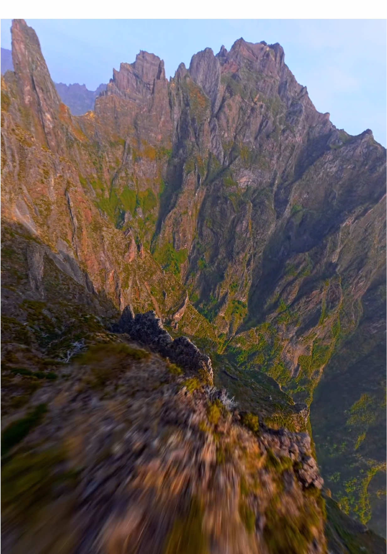 Is this how it feels to fly? 🦅