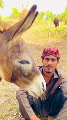 😂❤️🥰🥀✌️❤️💔💯😂🤣💔🥀💯😂🥰❤️🤣@jounrind120 😂💯❤️💔🥰🥀🥀🥰💔❤️💯😂😂❤️🥰🥀💯😂🤣❤️🥰😂🤣💯