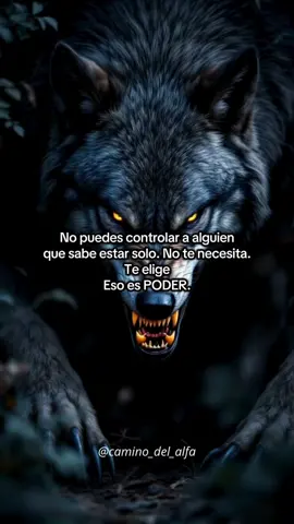 Eso es poder🐺🔱 #lobo #reflexion #superacion #parati #lealtad 