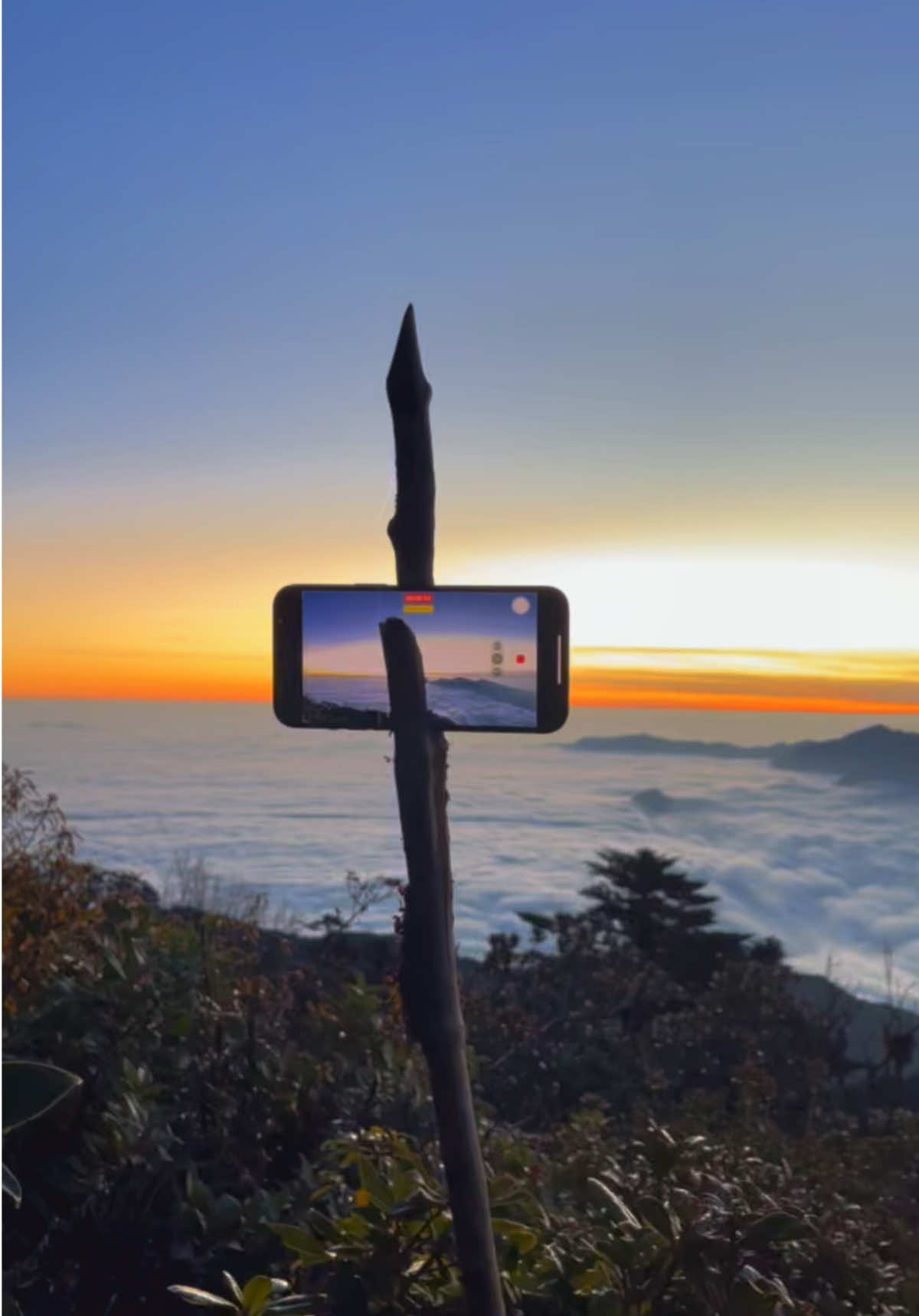 Chiếc view mà tôi săn đón rất lâu #phusaphin #taxua #nature #trekking #mountain 