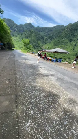 Cây cô đơn nhưng không hề cô đơn nha 😙#hàgiang #meovac #mapileng 