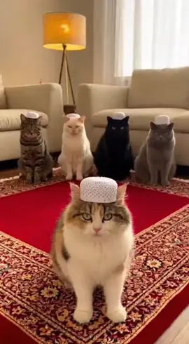 #islam #islamic_video #viral #islamic #islam 