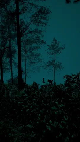 tidak terasa sudah bulan november, dan aku masih merindukanmu.