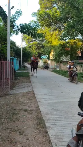 ချစ်သားဖိုးချစ်နဲ့🐴🐴🐴မြို့ပတ်#ရင်၌ဖြစ်သောဝါသနာ #မြင်းဝါသနာရှင်များလေးစားလျှက်💛 @𓃗ℋℯ𝒾𝓃  ℒ𝒾𝓃  𝒯𝓊𝓃𓃗 @Bo Tun Lay @🌪 @Kyaw Zin Phyo @Yar Phyo Lin @🇲🇲U Zaw Gyi🇸🇬 @Mg Myo @AungZawBo @🥴ဦးကောင်း😁 @Kaung Khant Thu @sithuaung0311 