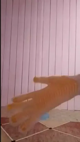 #fyp #fyppppppppppppppppp #tiktok 