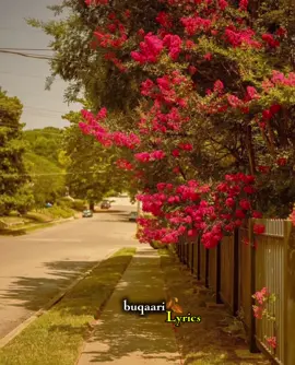 #jiwibila🌊🌴💔 #soomaalilyrics🌺😏💎 