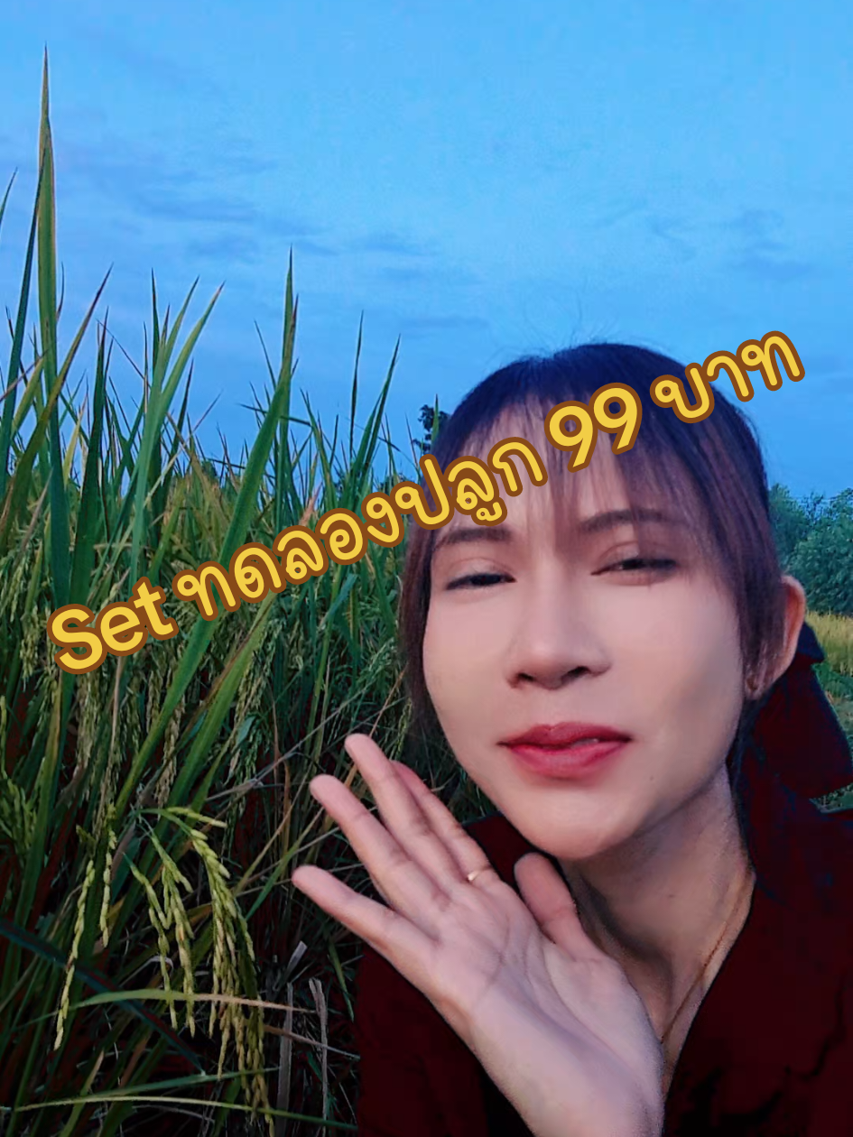 Set ทดลองปลูก 99 บาท