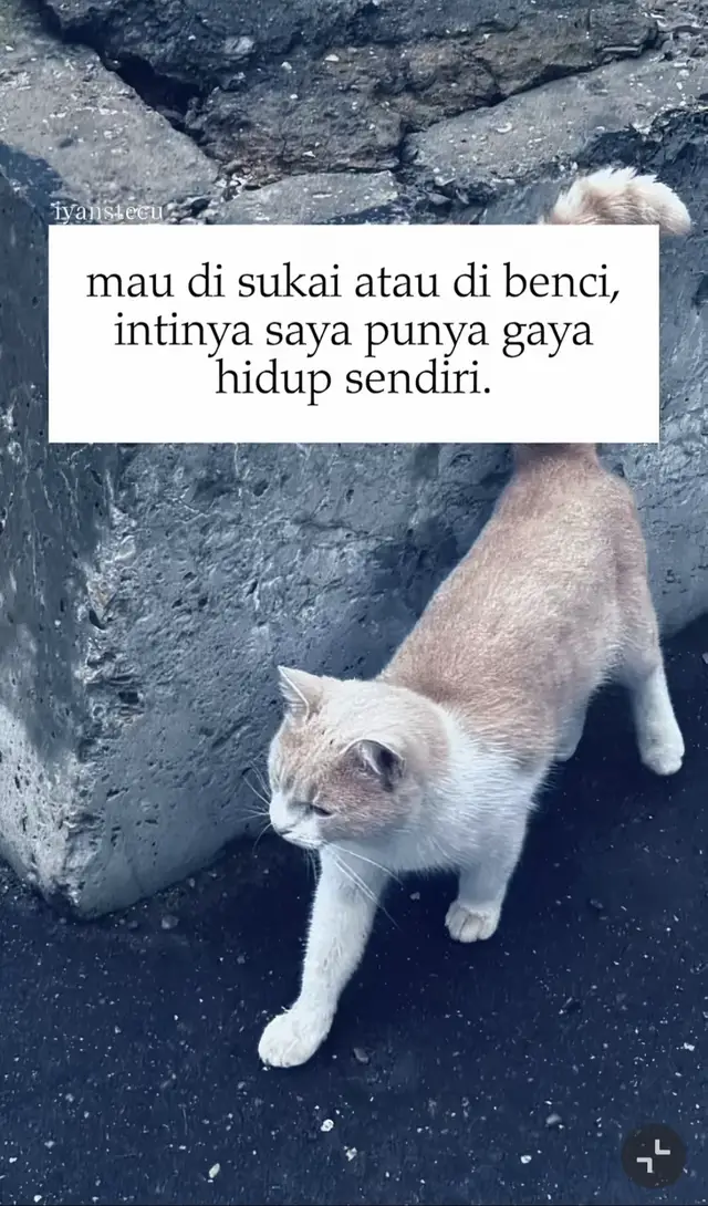 SAYA PUNYA STYLE SENDIRI  #fyp 