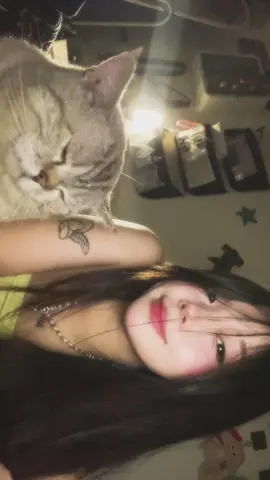 Xôi péooooooo  #fyp #viral #cat 