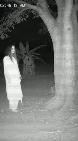 กล้องจับภาพได้... ผีปีนต้นไม้กลางดึก แต่สุดท้ายกิ่งหักดัง ป้ากกกก!! ทั้งผีทั้งกิ่งร่วงลงมาพร้อมกัน 😭🌳👻 #CCTVfootage #กล้องจับภาพได้ #เรื่องหลอนคืนนี้ #GhostFail      #เทรดวันนี้ 