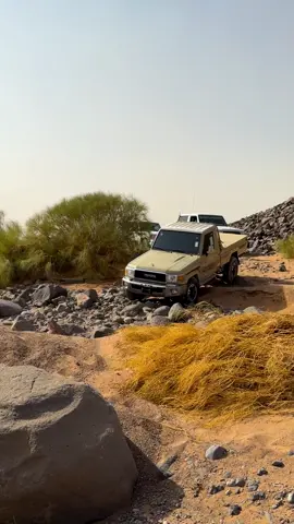 #اكسبلور #ماشاءالله #الاردن #كشتات_الشتاء #تصوري📸 