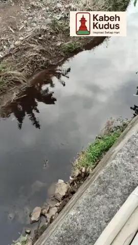 Kali jatipasean Tanjungrejo jekulo kudus Imbas TPA Tanjungrejo  #kabehkudus #netizenjurnalis #promomakanharian 