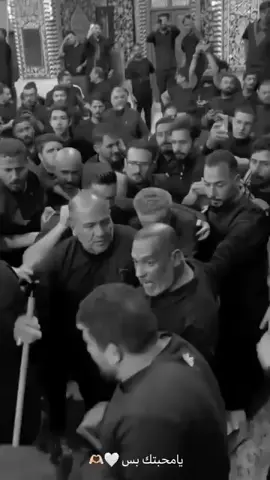 حبيب الشيعه 💞##tektok #تصميم_فيديوهات🎶🎤🎬 #باسم_الكربلائي #1 #محتوى_ديني 