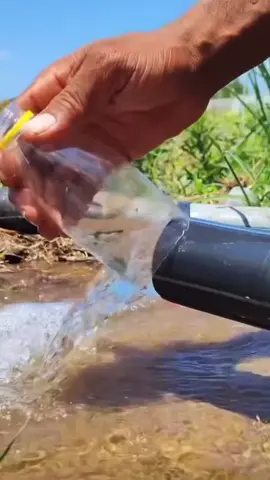 one day you will miss me 