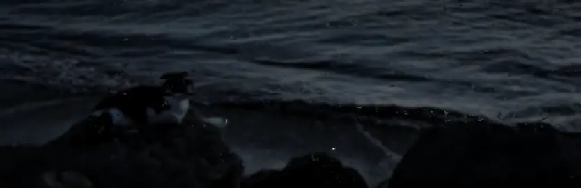 #صدقة_جارية 