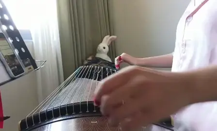 Sa vào nguy hiểm  Cổ tranh guzheng  #guzheng #guzhengmini #tiktok #douyin抖音 #douyin 