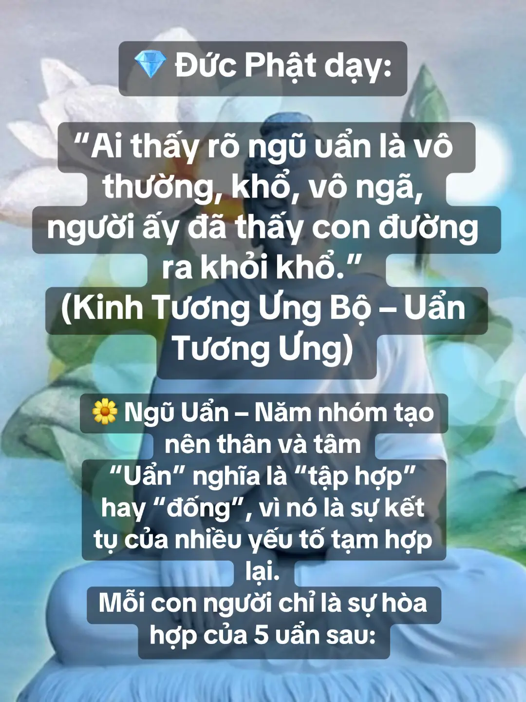Một con người = Sắc + Thọ + Tưởng + Hành + Thức, năm uẩn ấy vô thường – khổ – vô ngã. Hiểu ngũ uẩn giúp ta: 	•	Không còn chấp “ta” là thân này. 	•	Không còn chấp “ta” là cảm xúc, suy nghĩ, hay ký ức. 	•	Biết rằng tất cả chỉ là duyên hợp tạm thời, như năm dòng nước chảy cùng nhau. #hocphatmoingay #phatphap #phatphapnhiemmau🙏🙏🙏 #phatphapnhiemmau #tutap 