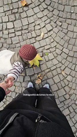 toamna asta este de 100 de ori mai buna decat cea de anul trecut - ne jucam cu frunze, castane, balti. ne intoarcem ca niste purcelusi acasa, dar foarte fericiti ❤️ #fyp #postpartum #familytime #MomsofTikTok #dadsoftiktok 