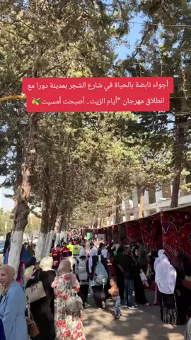 أجواء نابضة بالحياة في شارع الشجر بمدينة دورا مع انطلاق مهرجان 