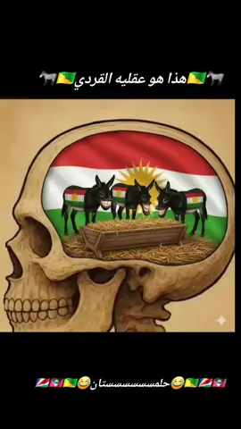 #ComfortSegredos #mostviralvideoontiktok #الامارات_العربية_المتحده🇦🇪 #تركيا🇹🇷اسطنبول #مصر_السعوديه_العراق_فلسطين 