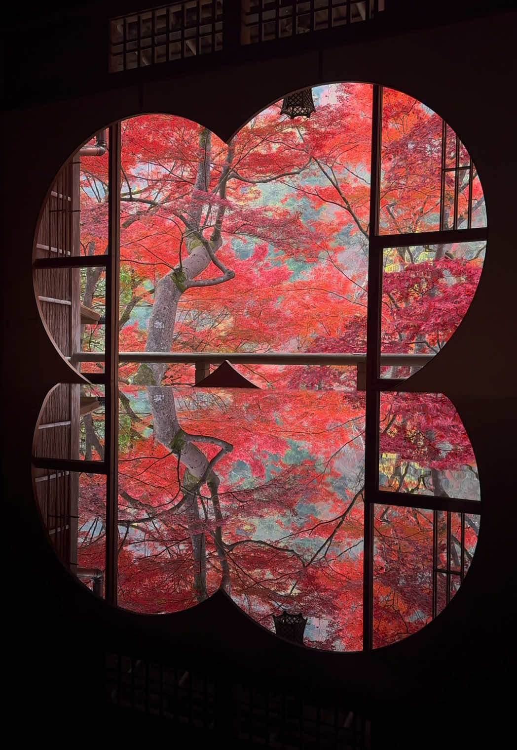 間もなく見れる京都の紅葉名所🍁 📍Yusai-tei | Kyoto🇯🇵 🗾祐斎亭⁡ 🌟 見どころ ・丸窓と“リフレクション”風景：丸い窓から望む紅葉と、そのテーブルや床・水面に映る「鏡像」風の景色がとても美しいです。   ・水鏡（大きな水面）に映る紅葉：水に映る紅葉の色や形が風で揺れたり、光が当たったりして幻想的です。  ※祐斎亭の紅葉は事前予約が必要です。祐斎亭公式ホームページからご確認お願いします。⁡ 🍁見頃時期：例年 11月中旬〜12月上旬。  あたりがピーク。 🚉アクセス ・嵐電（京福電車）嵐山本線「嵐山」駅から徒歩約10分  ・JR嵯峨野線「嵯峨嵐山」駅から徒歩約20分 #祐斎亭