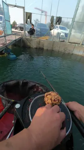 Lên 🙈 #huuhoangfishing #xuhuong #mồi_câu_cá_khó_chịu #huynhnhanfishing 