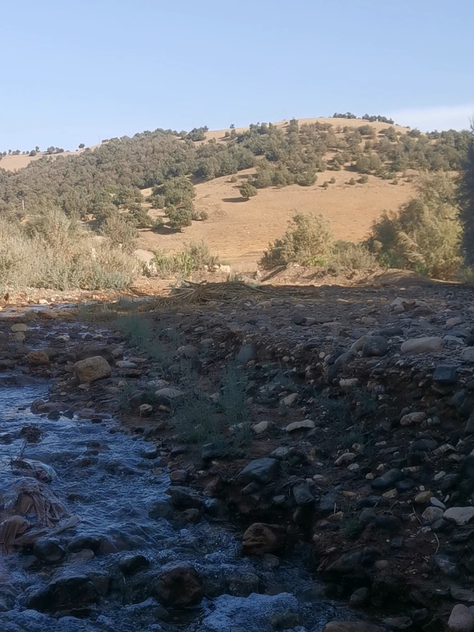 #leroutieramazigh🇲🇦🇨🇵 