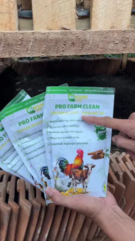 Probiotik tabur kandang ternak #profarmclean #probiotiktaburkandang #kandangternak 