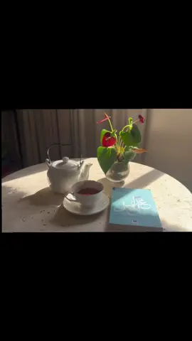 📷 #4u  #explore  #اكسبلورexplore 