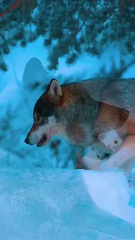 #reflexion #motivacional #amor❤️ #frases #parati 