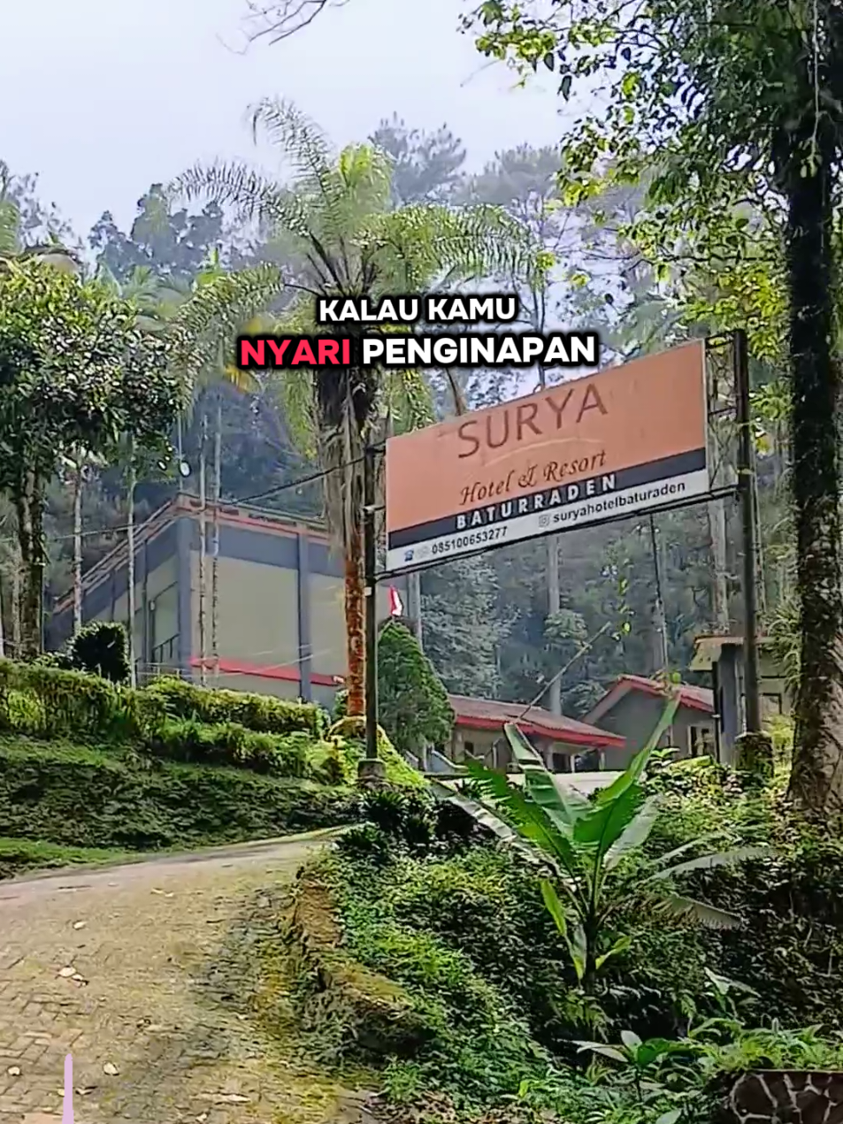 🏕 Surya Resort ans Hotel Baturraden Resort Nyaman dengan suasana perbukitan lereng Gunung slamet yang indah dan sejuk 🤗🤗🤗 ➡️ Booking Lewat Tiktok Ada Gebyar discount Hingga 50% dari tanggal 24 Oktober - 12 Nobember 2025 📍Jl. Kemutung Lor, RT 05 / RW 04, Baturaden, Dusun III Berubahan, Kemutug Lor, Kec. Baturaden, Kabupaten Banyumas, Jawa Tengah 53151 #superbrandgohotel  #SuryaHotelandresortBaturraden #SuperBrandGo #SuperTravelVibes #SuperTravelBrand 